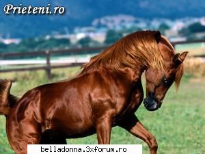 haideti