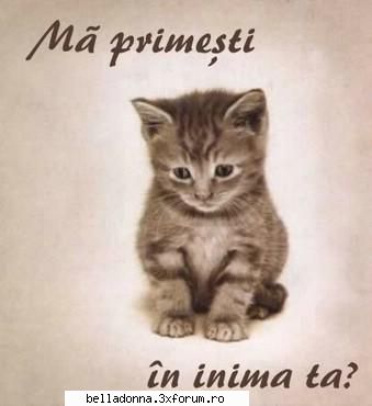 forum sex/hot q&a imi pare foarte rau fac simti mai pup d-zeu ti-a daruit familie minunata prieteni