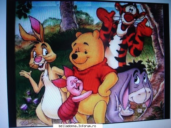 puzzle(categorie incepatori)
