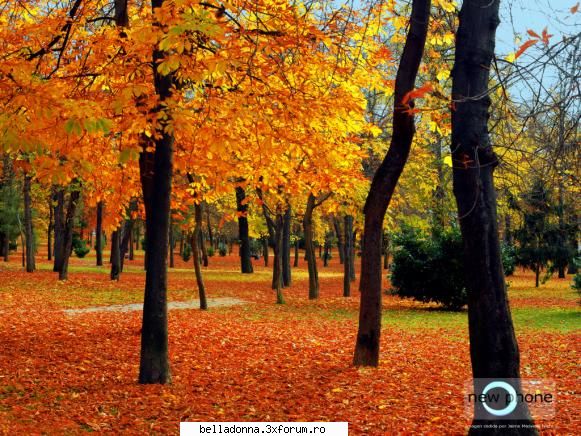 Ce ai pe desktop ? - Pe desktopul nostru avem asta - Amintiri