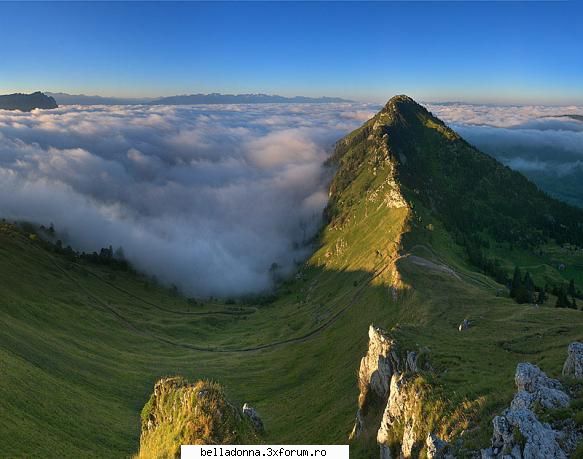 Ce ai pe desktop ? - Crina - Amintiri