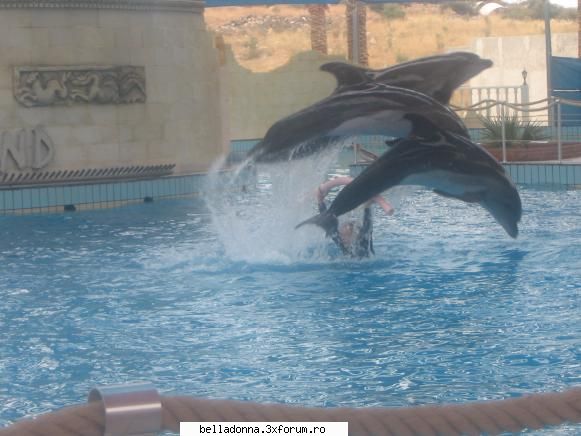 GARDALAND,parcul de distractii numarul 1 in Italia!!! - Si ceva care ii place Iulianei sper - Sa ne relaxam