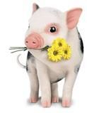 Hai sa petrecem ...[3] - mirelusa - Cufarul cu subiecte