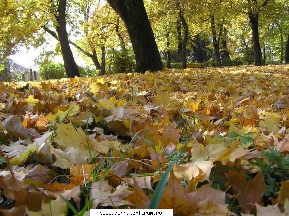 Hai sa petrecem ...[3] - IuLiAnA - Cufarul cu subiecte