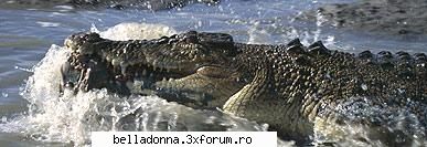 Hai sa petrecem...[8] - IuLiAnA - Cufarul cu subiecte