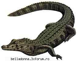 Hai sa petrecem...[8] - Crina - Cufarul cu subiecte