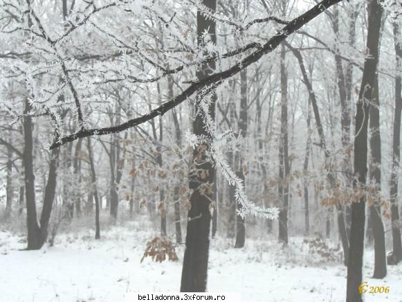 Hai sa petrecem...[8] - IuLiAnA - Cufarul cu subiecte