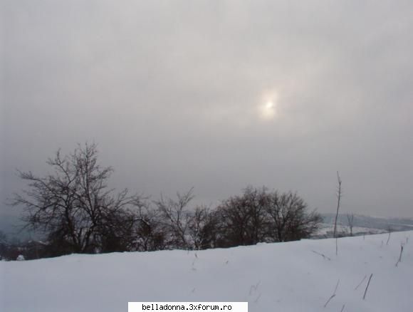 Hai sa petrecem...[8] - IuLiAnA - Cufarul cu subiecte