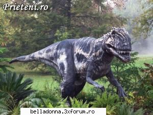 Hai sa petrecem...[8] - IuLiAnA - Cufarul cu subiecte