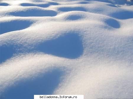 Hai sa petrecem(9)... - IuLiAnA - Cufarul cu subiecte