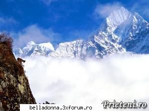 Haideti sa petrecem....(4) - IuLiAnA - Cufarul cu subiecte