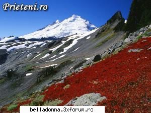 Haideti sa petrecem....(4) - IuLiAnA - Cufarul cu subiecte