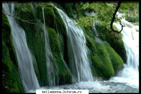 Haideti sa petrecem....(4) - mirelusa - Cufarul cu subiecte