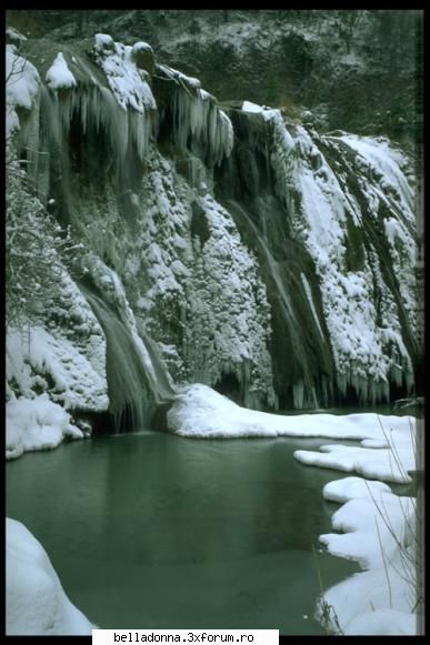 Haideti sa petrecem....(4) - ce superbe sunt Crinooo - Cufarul cu subiecte