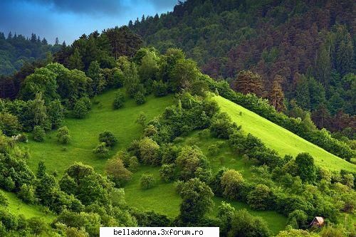 Haideti sa petrecem....(4) - Crina - Cufarul cu subiecte