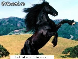Haideti sa petrecem...(5) - Crina - Cufarul cu subiecte