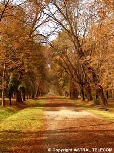Haideti sa petrecem...(5) - Crina - Cufarul cu subiecte