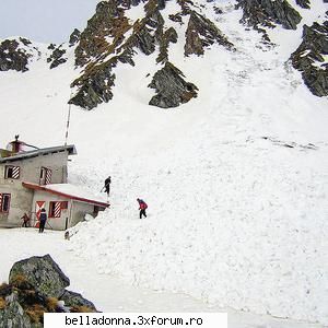Haideti sa petrecem...(5) - Crina - Cufarul cu subiecte
