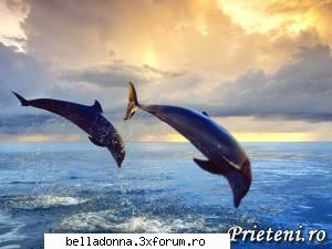 Haideti sa petrecem...(5) - IuLiAnA - Cufarul cu subiecte