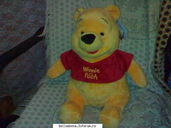 POVESTEA MEA - in seara asta l-am primit pe winnie de la sotul - Dispozitii sufletesti