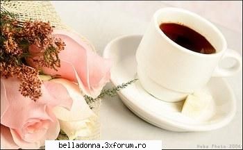 Poftiti la cafeluta... - buna dimineata fetelor, eu o sa plec la serv - Cufarul cu subiecte