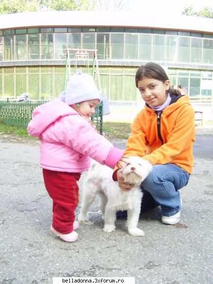 Pozele copilului tau[2] - si ne plac ffff mult animalele....in special - Amintiri