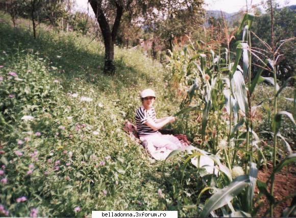 Sa ne cunoastem in imagini - Rose Marie - Sa ne prezentam