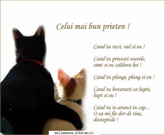 Sa ne prapadim de ras :)))) - IuLiAnA - Amintiri