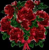 Saluti... - alice_many - Sa ne prezentam