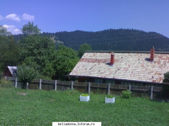 eu propun tu postezi - IuLiAnA - Sa ne jucam
